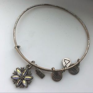 2017 snowflake Christmas edition Alex & ani